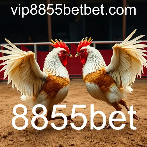 Explorando o Fascinante Mundo dos Jogos de Sabong com 8855bet