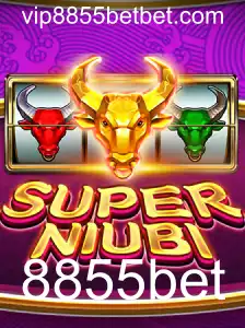 Descubra SuperNiubi: O Jogo Revolucionário e Suas Regras